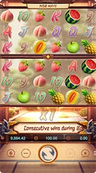 Ninja Raccoon Frenzy · Panduan Antarmuka dan Kontrol Gulungan Ganda Ninja Raccoon Frenzy